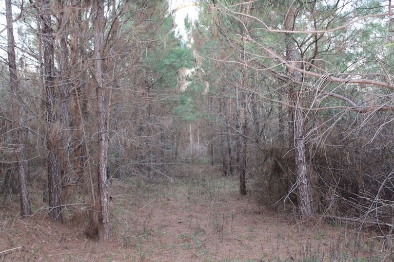 824E6244-C96A-4A76-89C9-3F21A9DE3E68_1_105_c