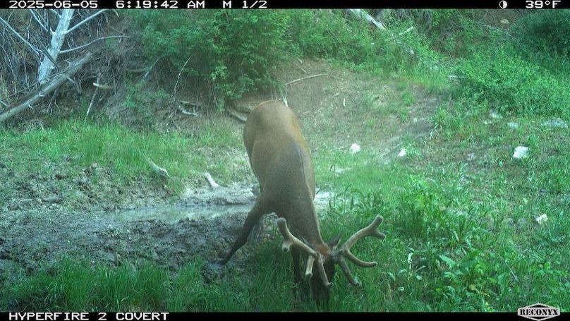 FA7DB726-FC40-4C41-90C9-358C9D4EE34D