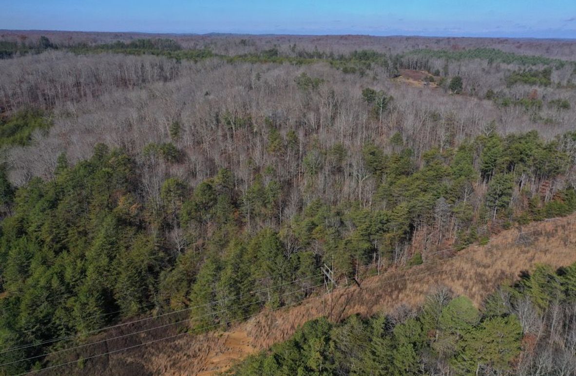 003 aerial drone view from the east boundary looking across the property to the west