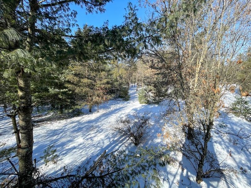 Adams 25, Nessler -57