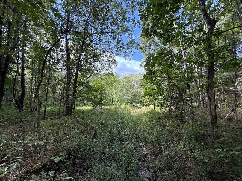 Ontario_2.7_Proseus Photo 11