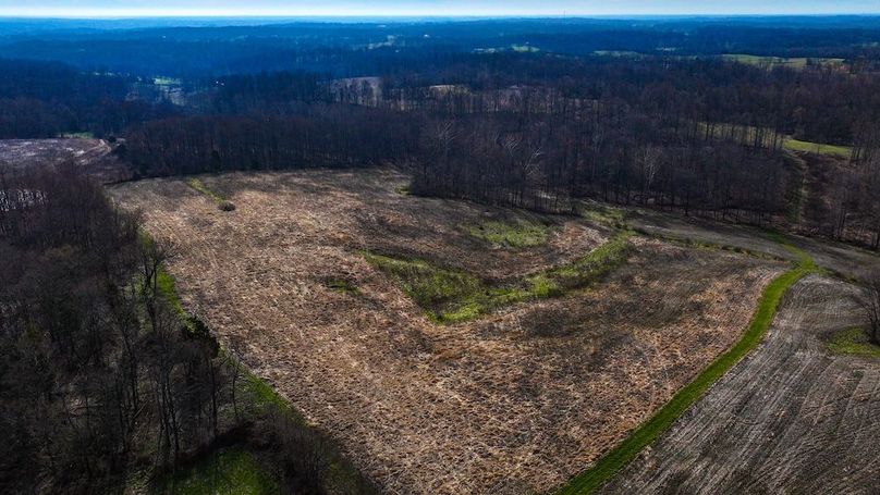 dji_fly_20260321_101116_0023_1774103522446_photo