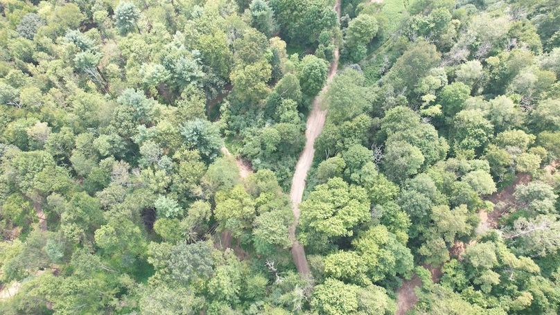 dji_fly_20250806_151942_614_1754528909353_photo