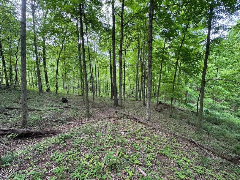 Pleasants, WV 168.59 AC Superior, Swank, Young-078