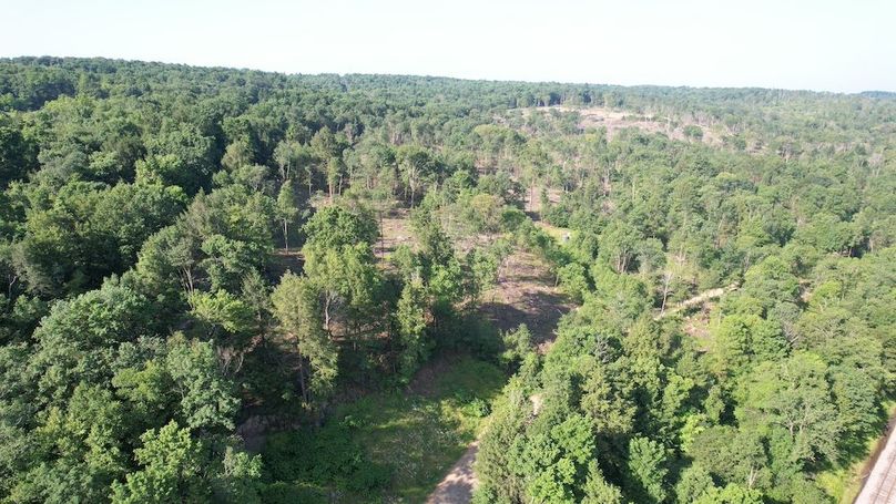 dji_fly_20250624_085620_329_1750770261568_photo