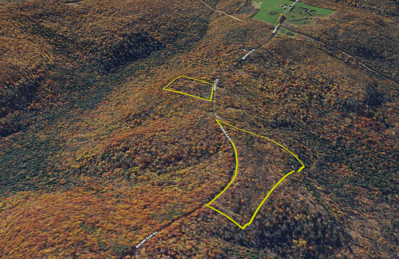 2 Screenshot 2024-02-20 at 12.44.22 PM