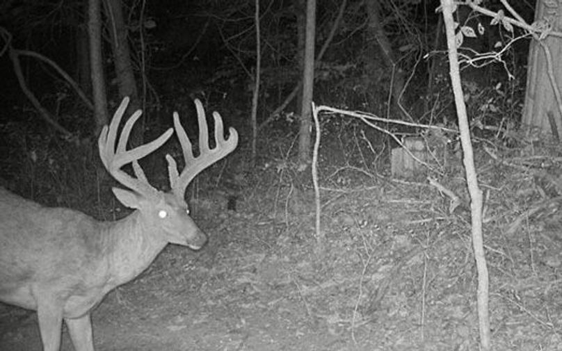 Copy of image17 Large