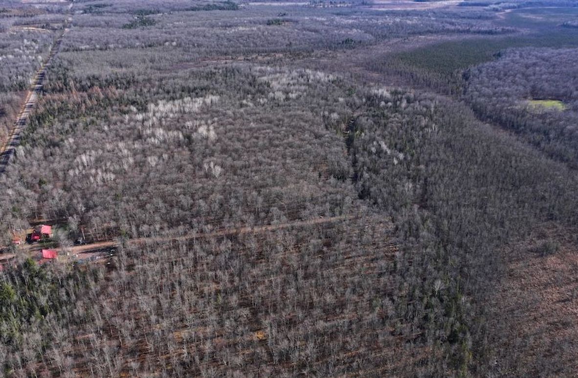 11DJI_20251113120412_0014_D