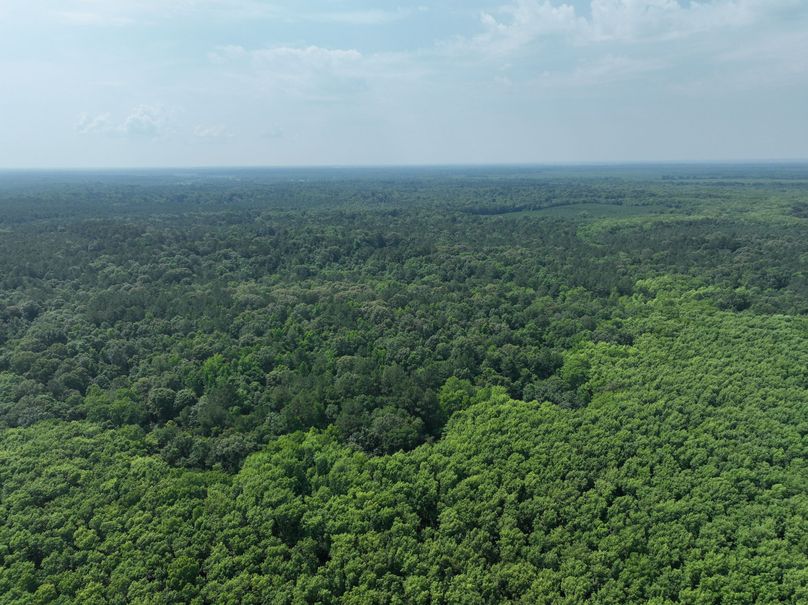 dji_fly_20230530_111402_128_1685483439795_photo