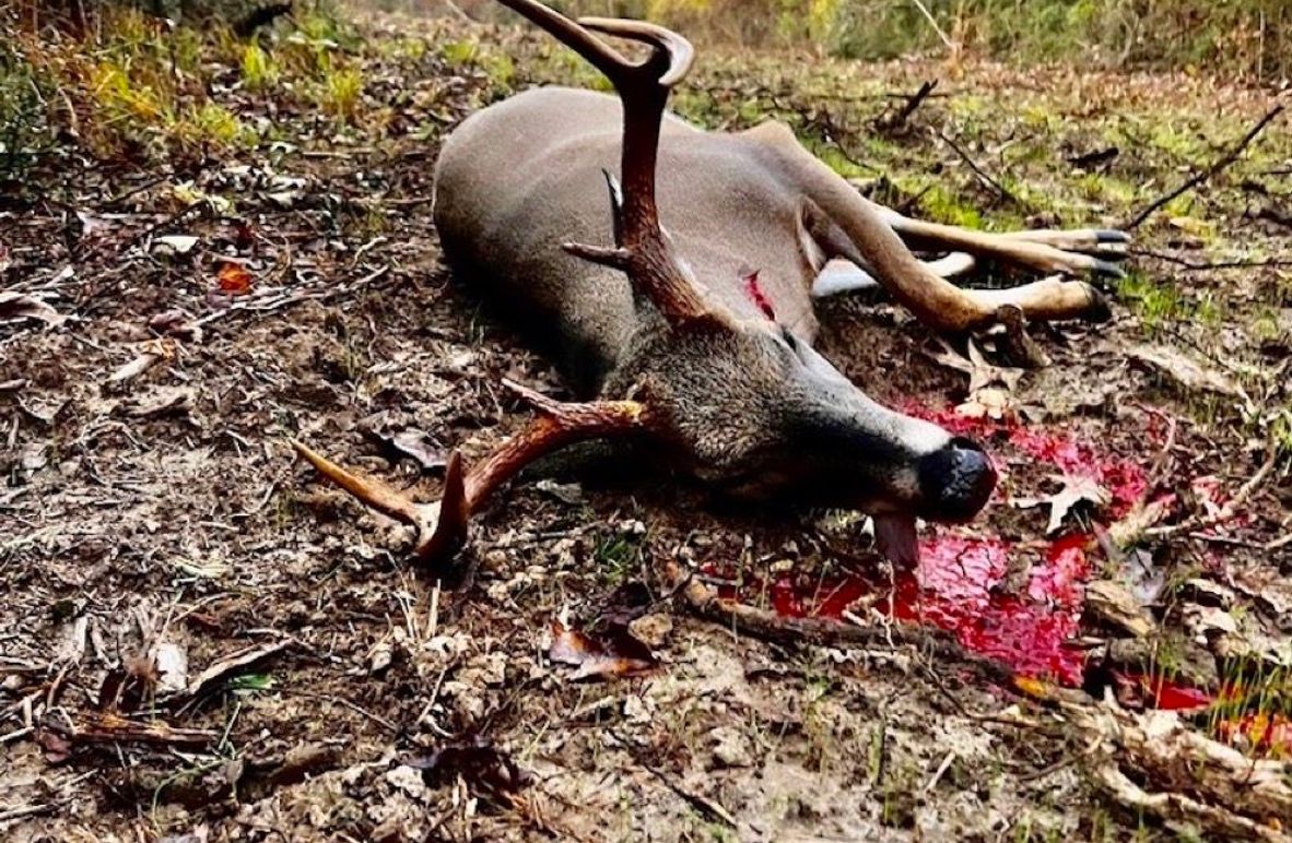 3BD66907-D252-45E4-B483-0EEC10FFC3C8_1_105_c-2