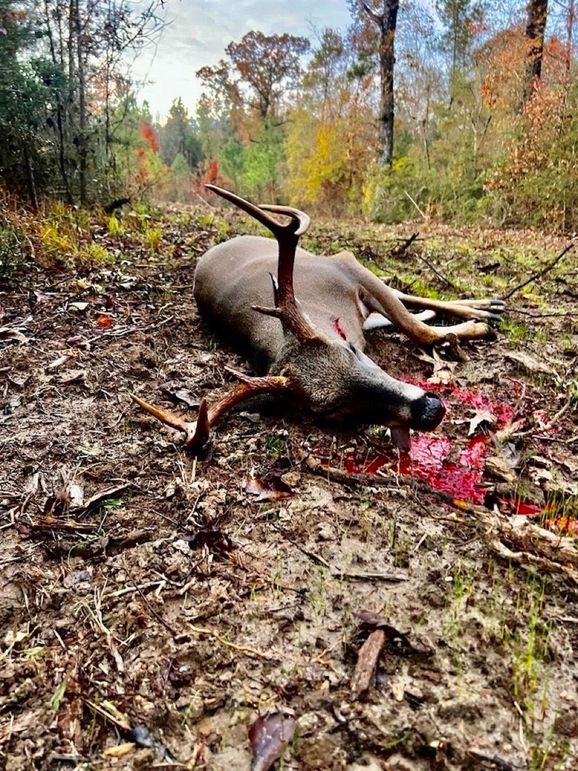 3BD66907-D252-45E4-B483-0EEC10FFC3C8_1_105_c-2