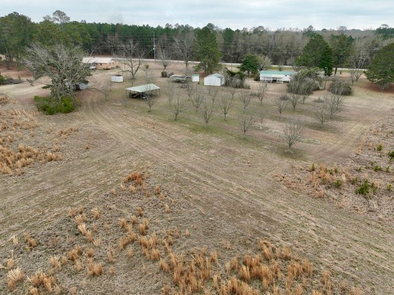 dji_fly_20260210_114206_264_1770741967897_photo