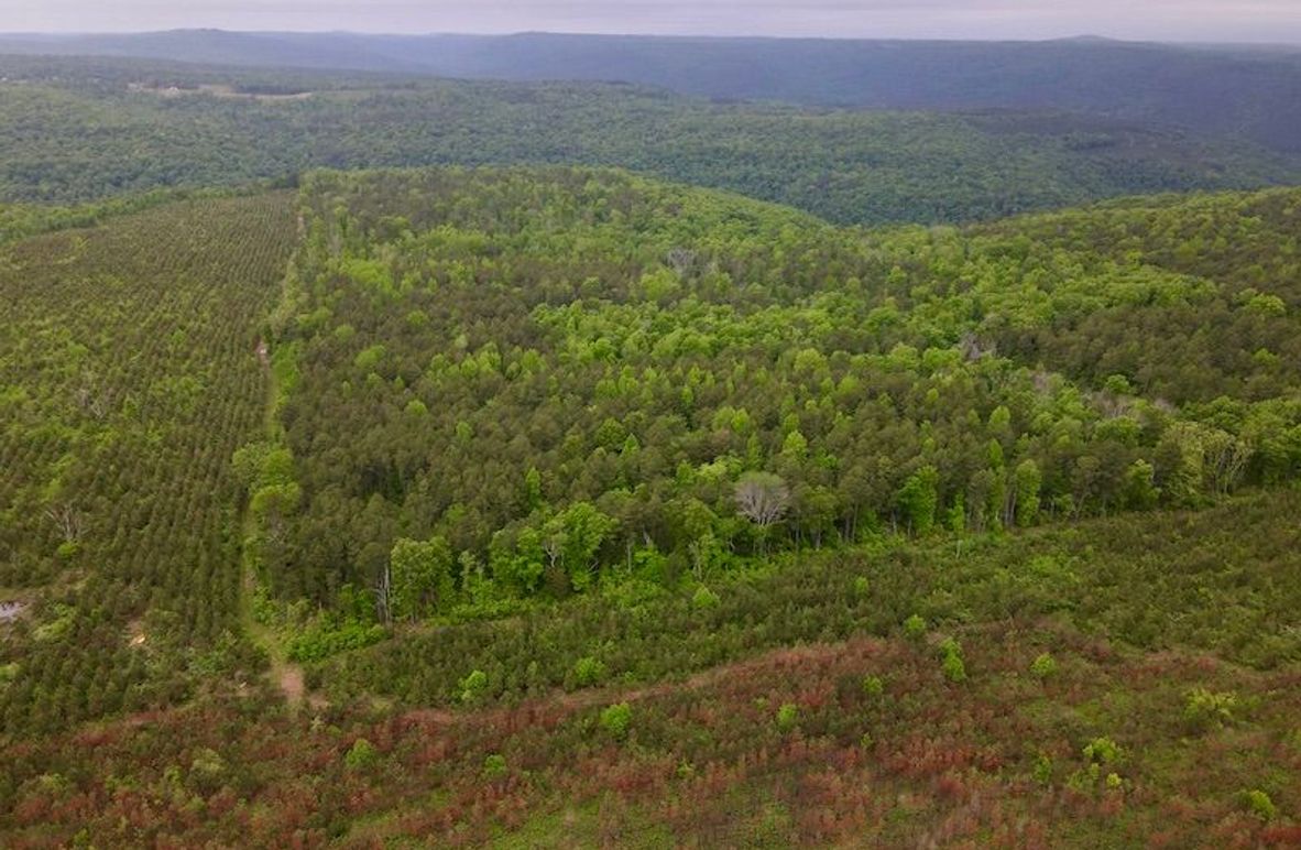 dji_fly_20260428_114712_85_1777920085730_photo