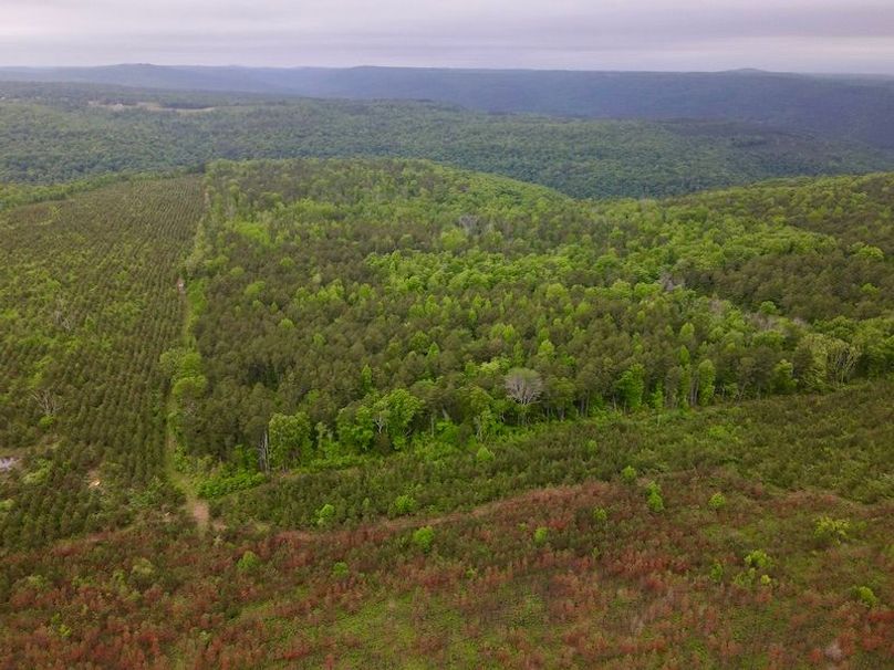 dji_fly_20260428_114712_85_1777920085730_photo