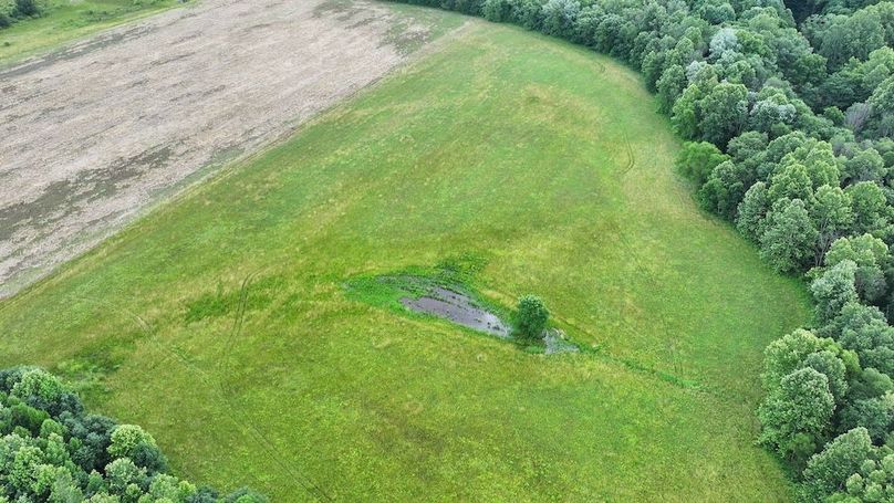 dji_fly_20250619_100204_0331_1750342102144_photo