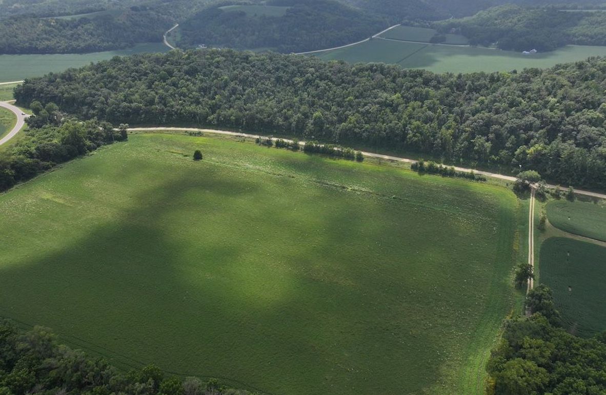 Goodhue 78.81 New -05