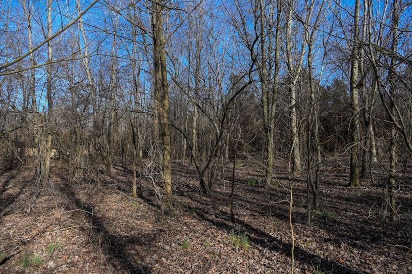 vandalia 450 (2)-1707