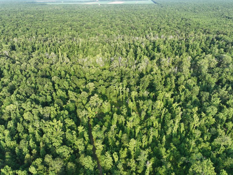 dji_fly_20230630_080650_191_1688137781536_photo