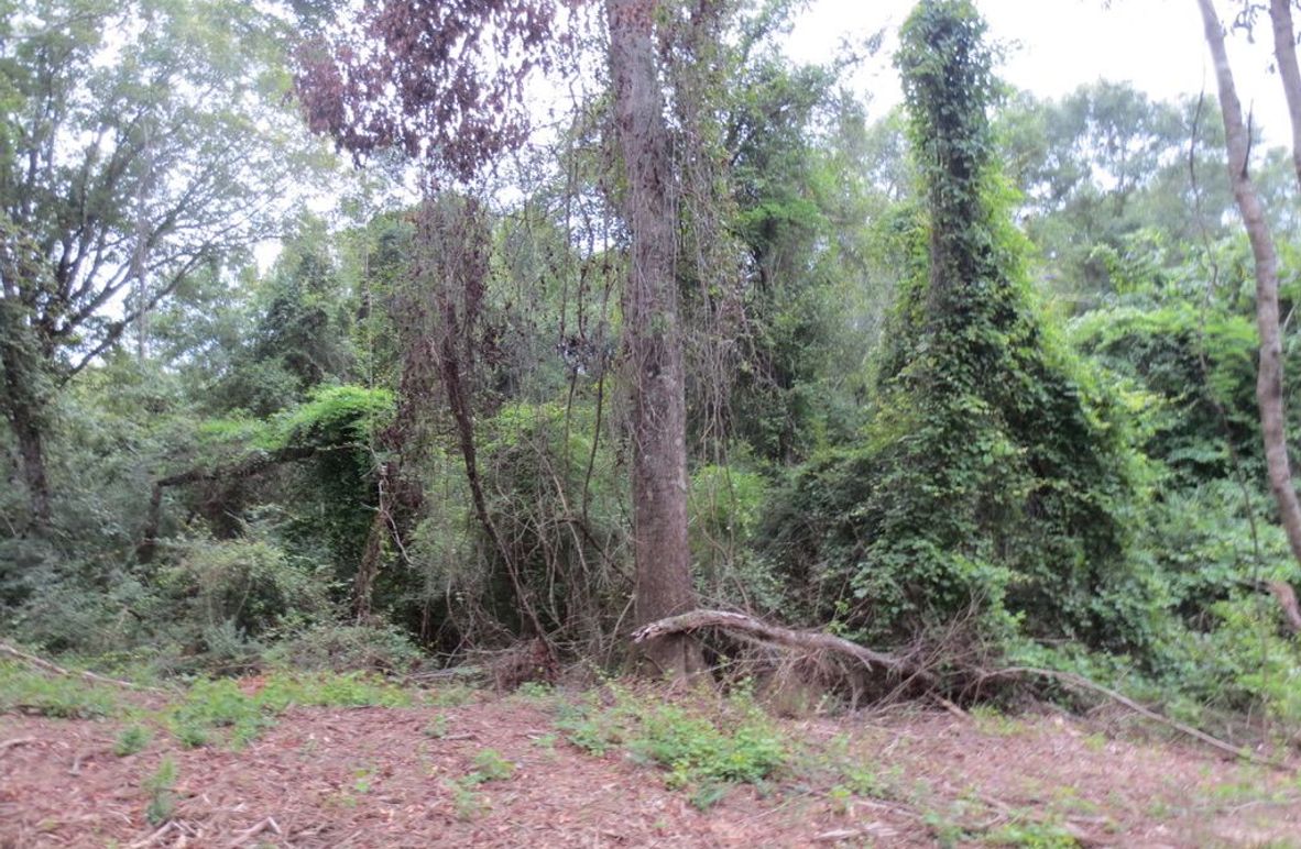 8D952446-E518-4830-B6AC-F07C447BB26A_1_105_c