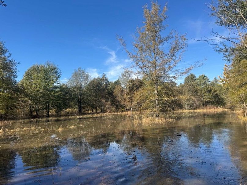 1a1 jeff 8320251111_0246