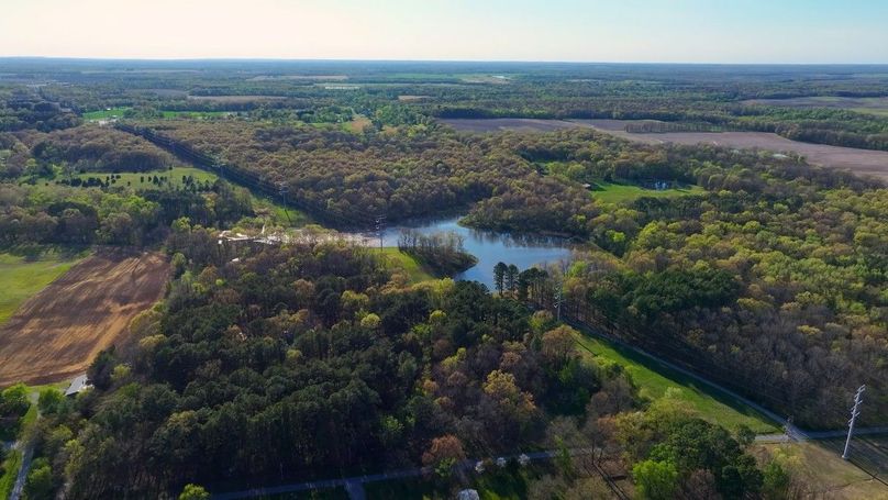 WILLIAMSON, IL 65.00_11_31_03.Still041