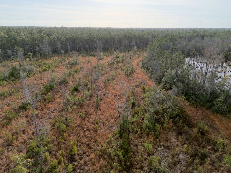 DJI_20240227082532_0009_craven60