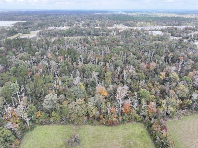 dji_fly_20251118_121216_0723_1763560720663_photo