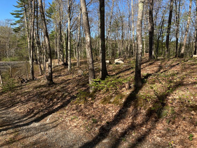 2023-05-08_08-20-33-0400