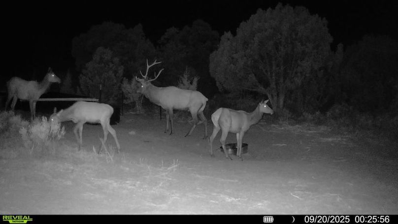 016578004060205-100-3-09202025002556-V-SYFW00167