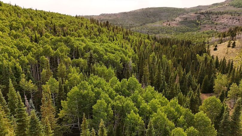 DJI_20250726183851_0220_D