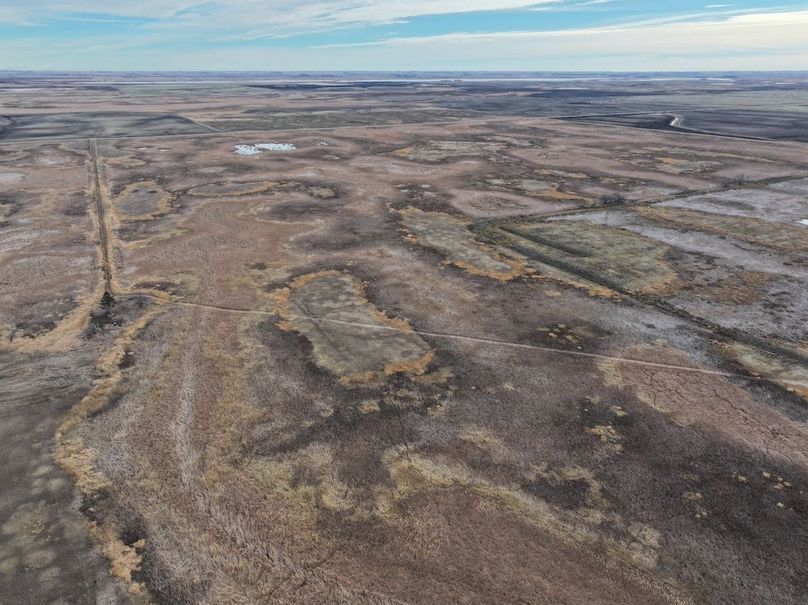 DJI_20241118113256_0332_D