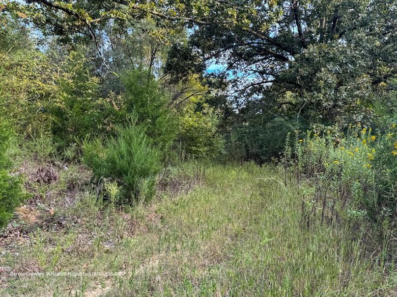 DeSoto 329 Prewett (Thompson) -36