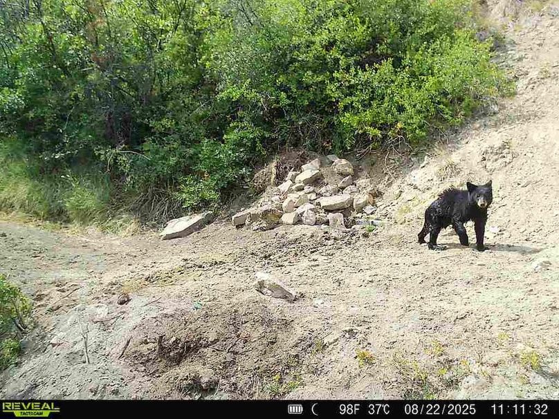 860516063676799-100-3-08222025111132-V-W1000211