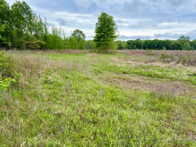 B09A2B27-52A9-4EDF-AAB7-7E796D20DB06_1_105_c