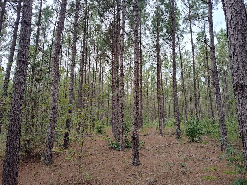 IMG_20250914_152646504_HDR