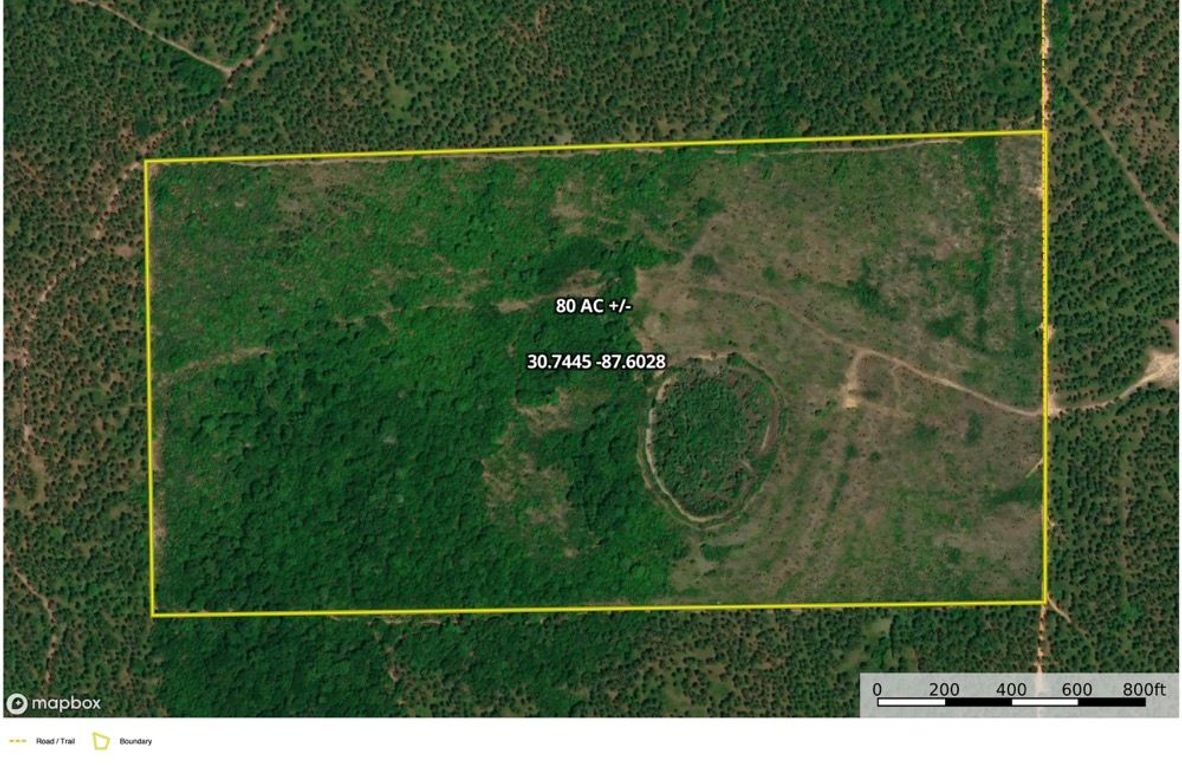 Aerial #1 Approx. 80 Acres Baldwin, AL