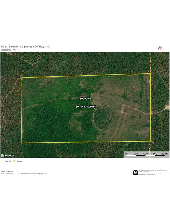 Aerial #1 Approx. 80 Acres Baldwin, AL