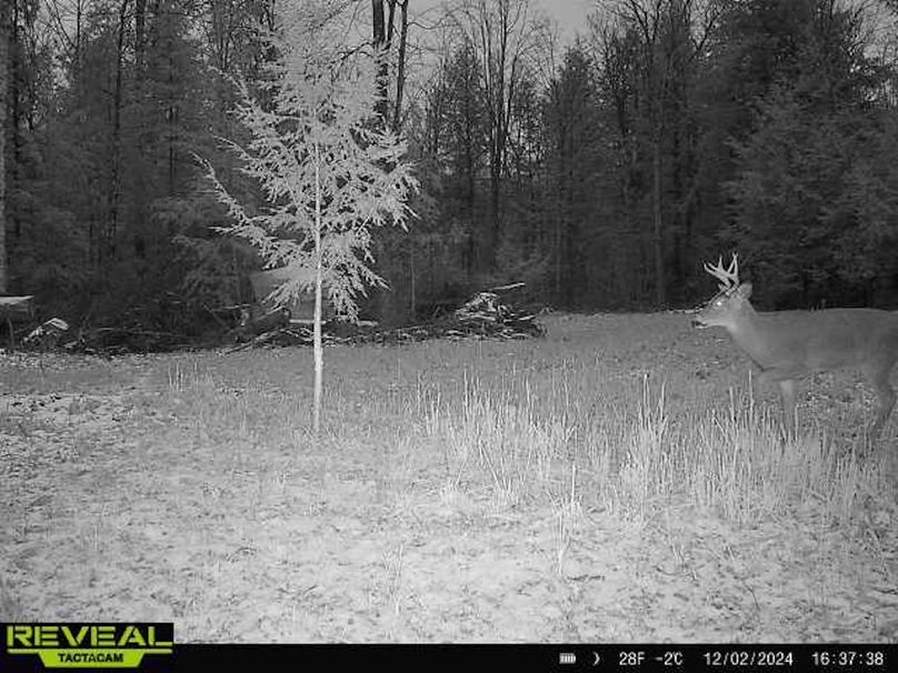 865814048724973-100-3-12022024163738-W1011465