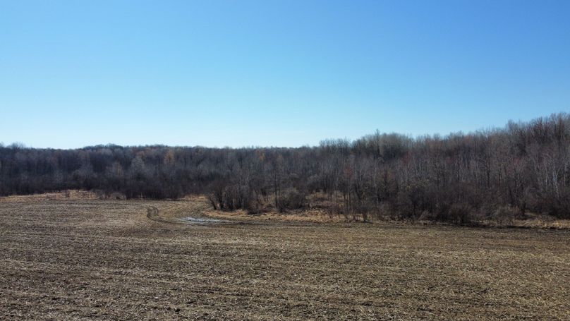 dji_fly_20230413_104958_326_1681401720119_photo_optimized