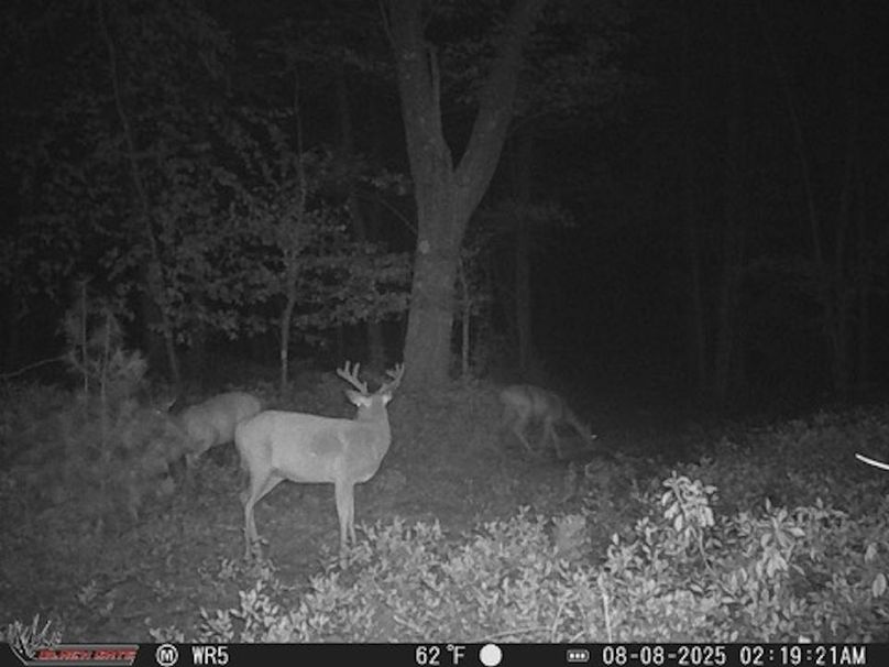 9DE10414-9187-4CDD-8450-05DB7A8E4C91_4_5005_c