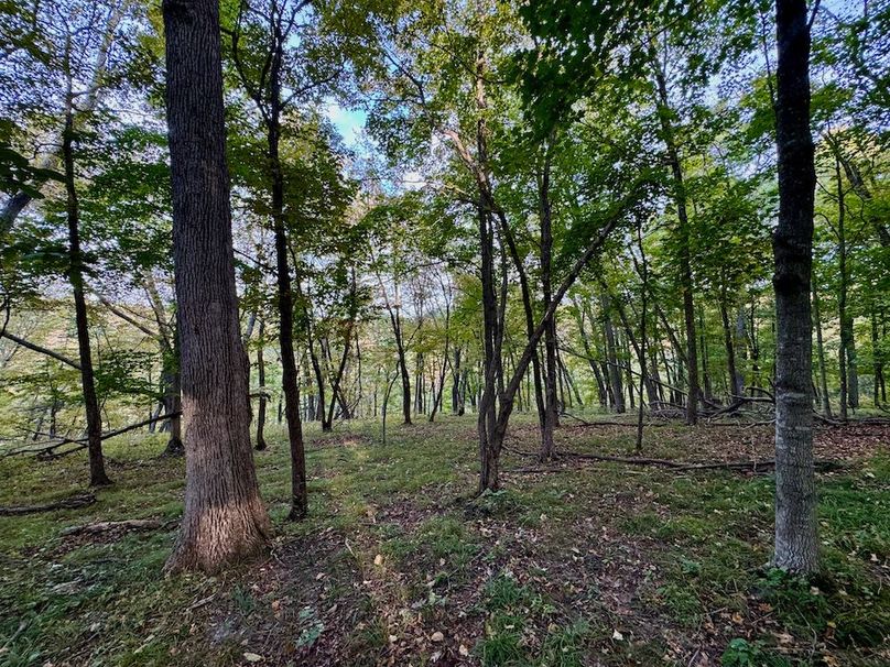 Richland 199Ground - 49