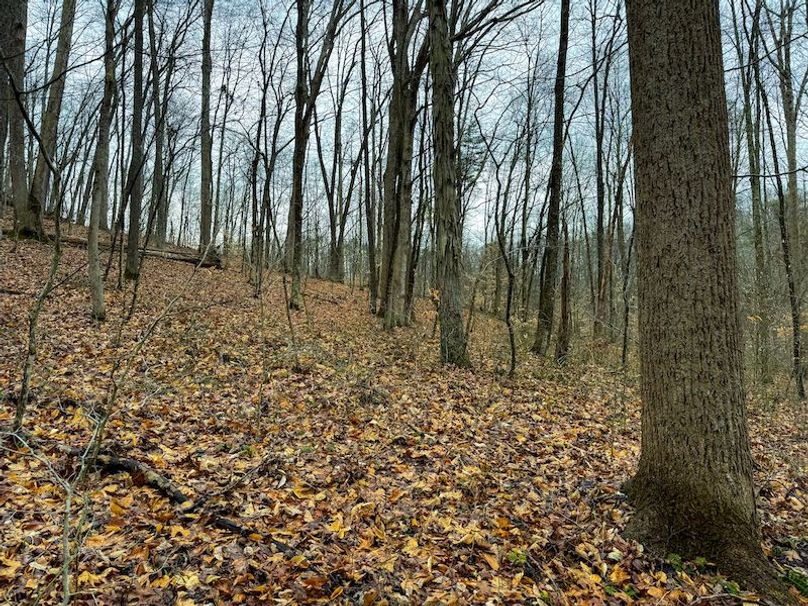 Ritchie, WV 64 AC Hall New Pics-28