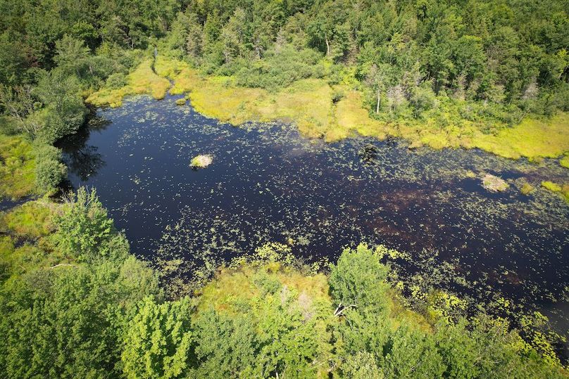 Oswego_100_Roof_Photos_30