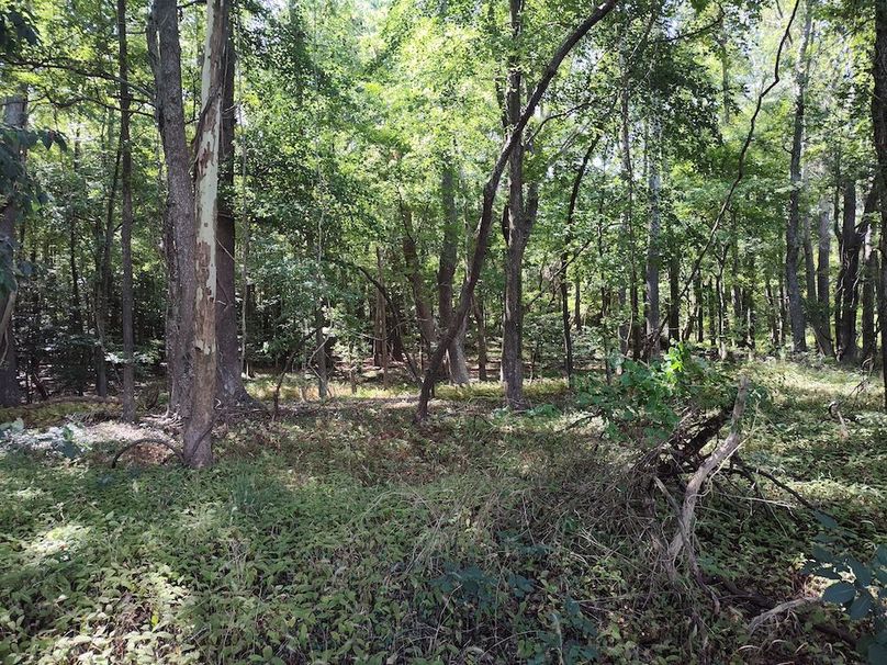 IMG_20250830_113208253