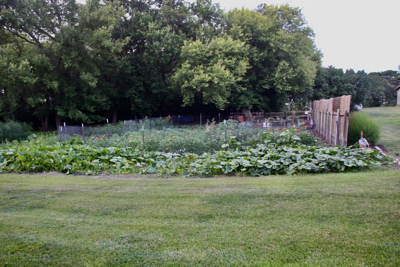 pic 52 - Large Vegetable Garden