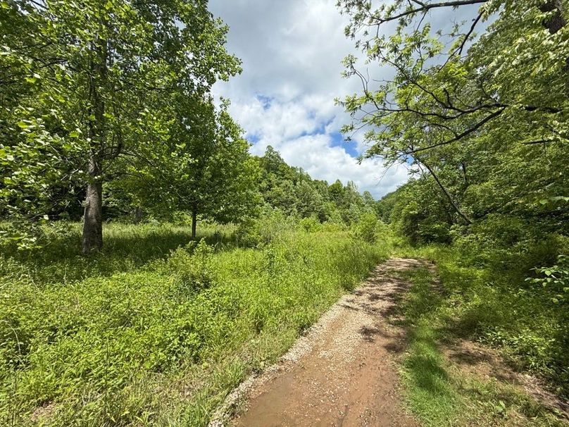 015 Hall Branch Road leading along the southeast edge of the property