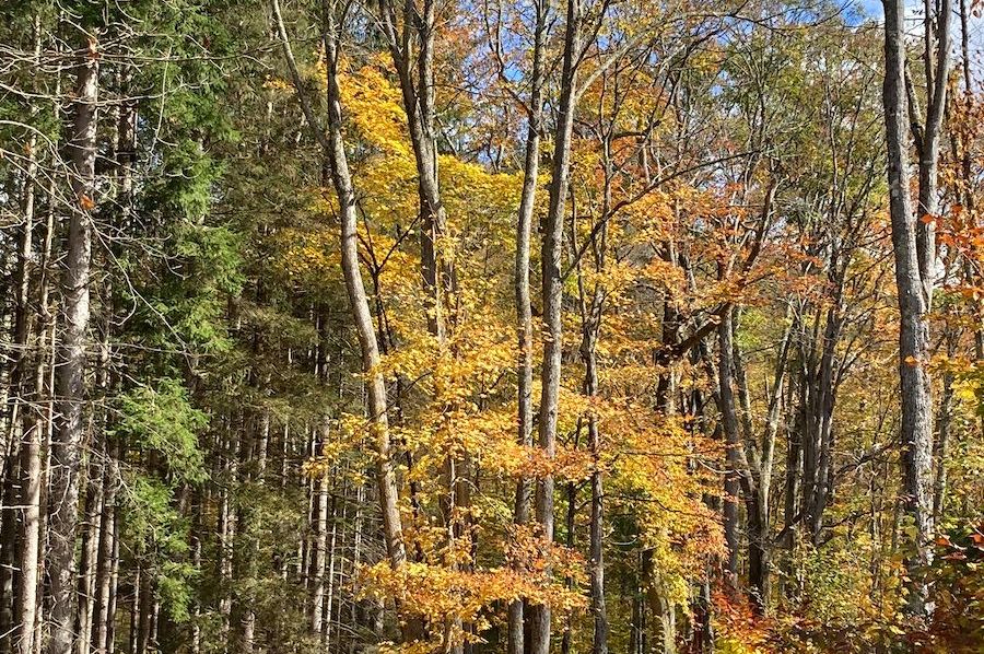 Webster, WV 21.15 AC HardwayCamp-37