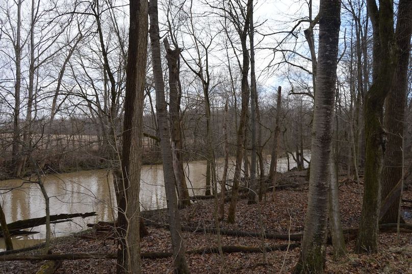 view from south side of creek