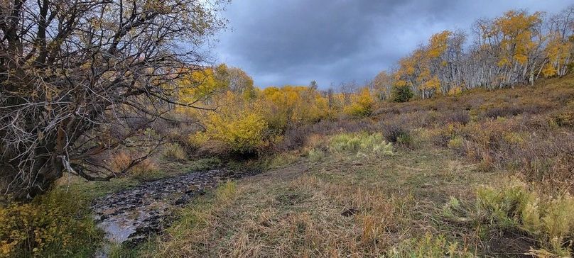 Copy of 20231011_110343