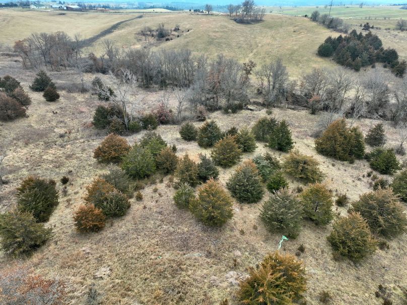 DJI_0857